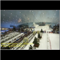 29710 07 0072 Skipiste, Dubai, Emirates 2017.jpg